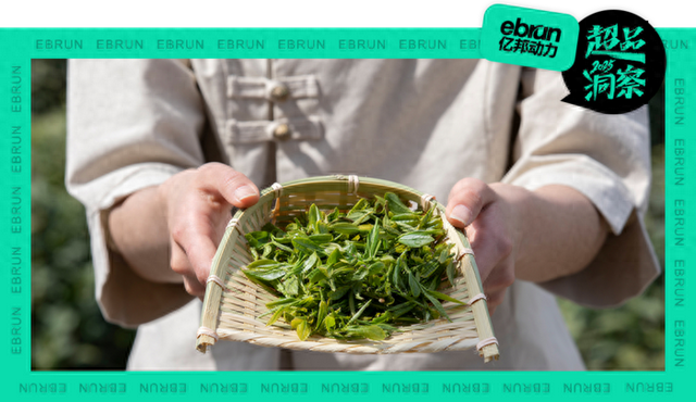 黑茶大概多少钱一斤（新茶饮赚疯了 卖茶叶的为啥挣不到钱超品洞察）