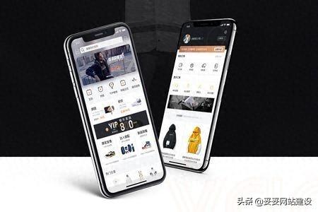 厦门网站建设建立（妥妥网站建设手机网站建设细节）