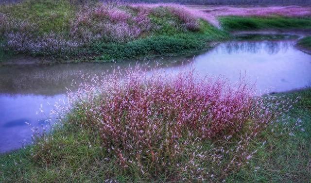 孝感的秋天很短，但这些美好很长｜秋日治愈这6个理由让我去了3次