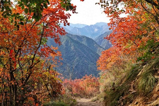 寻幽千年香道，邂逅湖西鸟鸣：我在杭州上香古道的秘境漫步