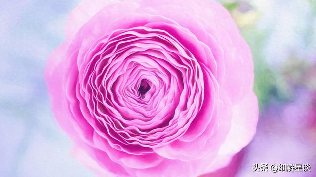 第三名：巨蟹座，12月14号，接下来13天，得跟你说句大实在话！