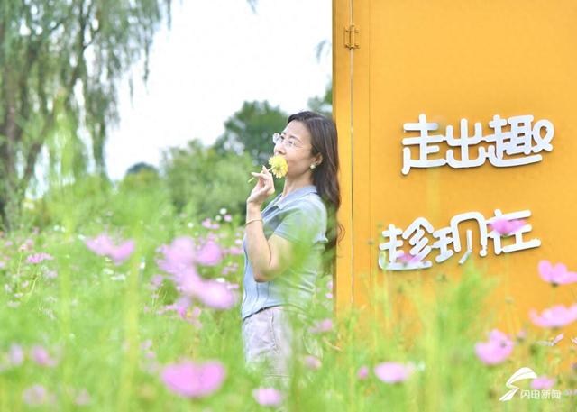 蒙阴县城公园焕新颜 盛夏美景引客来​