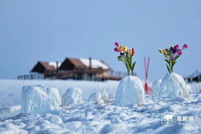 “她的电话，许多牧民都存着”！老同事追忆贺娇龙：她很拼；70多岁母亲最新发声：让她静静地离开