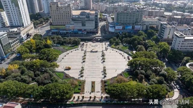 2025绍兴盆景艺术展10月亮相嵊州！邀您共赴一场视觉盛宴