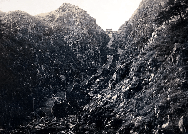 重见“齐鲁青未了” 山东泰山交出亮眼“绿色成绩单”