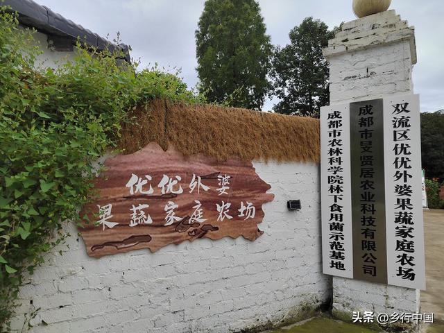 国庆中秋七天乐：到双流优优外婆农场过一个超治愈有温度田园假期