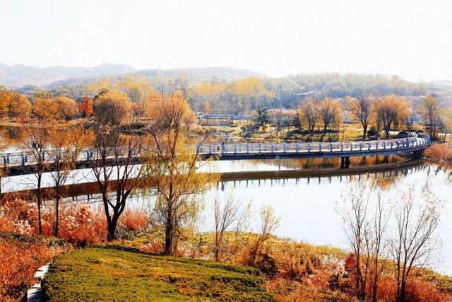 还在找威海初冬小众打卡地？这条河岸藏着惊喜