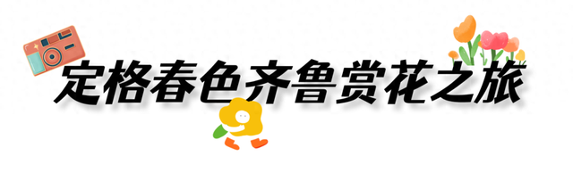 董宇辉向世界推荐，“请花几天时间去山东”！