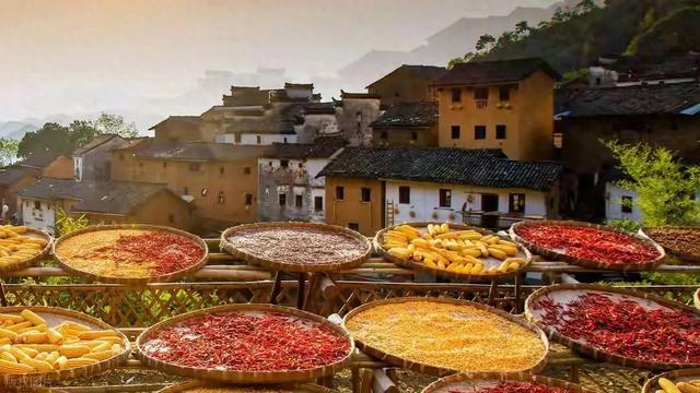 《土楼阳产秋晒》/郭兴华