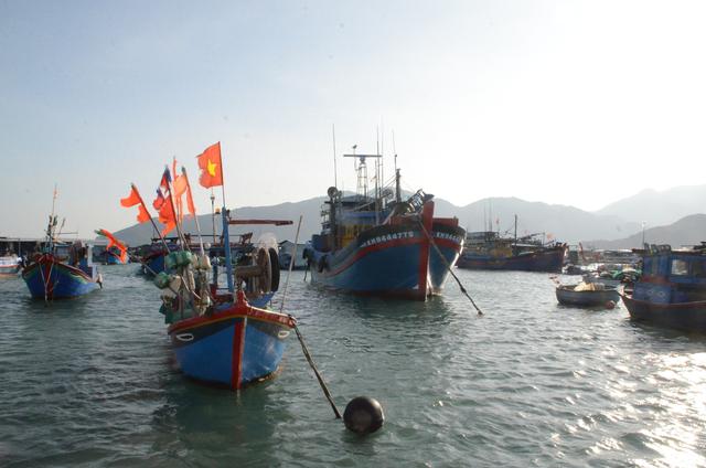 在越南美食共享，舌尖狂欢！让你的“盘中珍馐”传递快乐