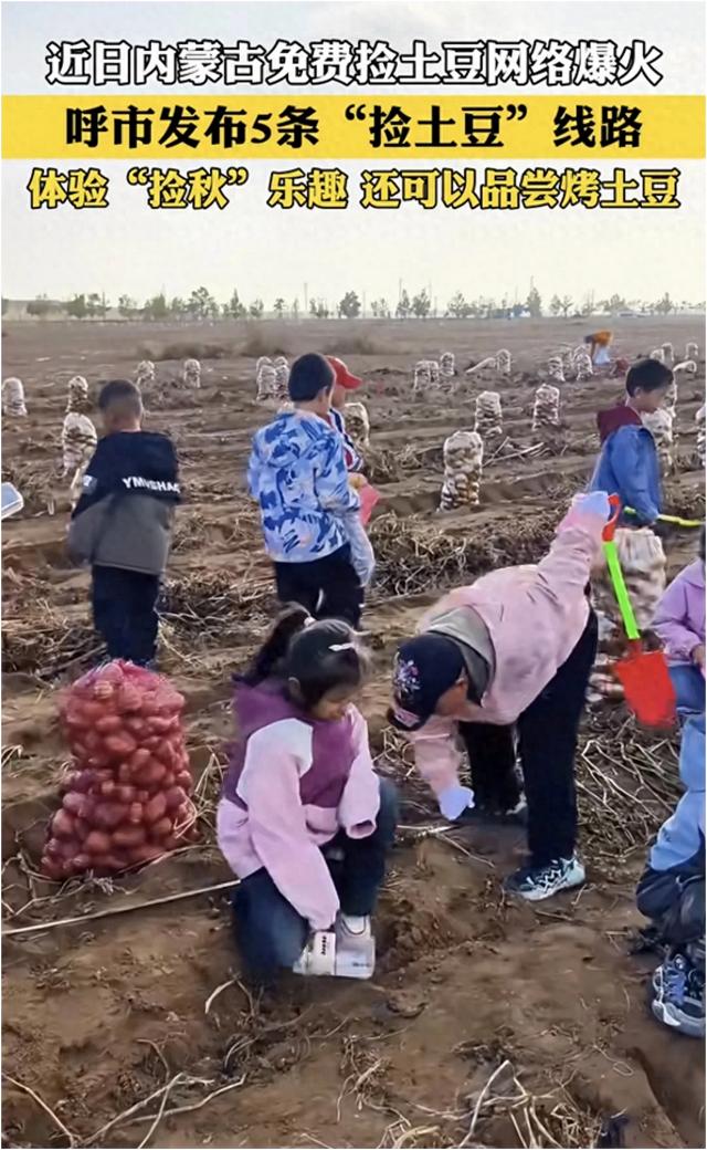 最懂松弛的北京中产,在内蒙玩得太“土”了