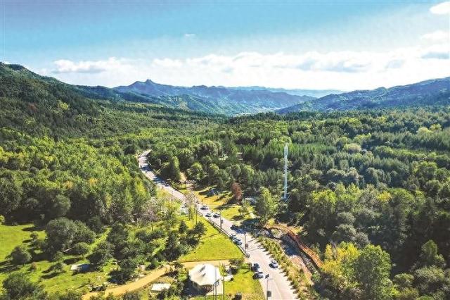 26℃的“清凉经济”——看离石大东沟如何以绿水青山为笔绘就生态文旅新画卷