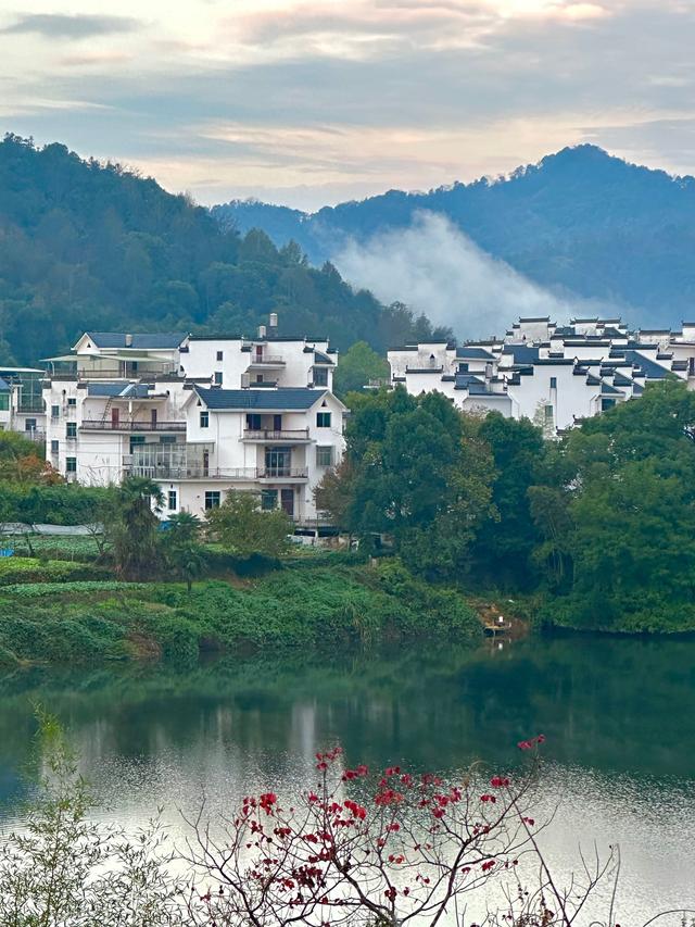 到老了才发现：不管有钱没钱，子女孝不孝，人老了就是痛苦的开始