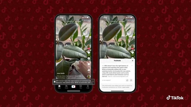 TikTok的“脚注”新功能为美国视频带来社区事实核查