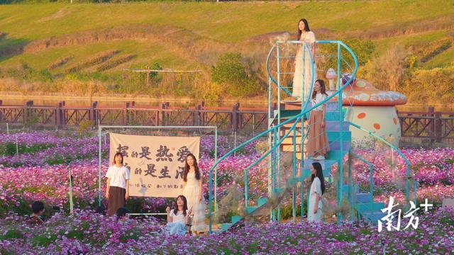 “一号公路”带白坭飞：超15万人次玩爽了