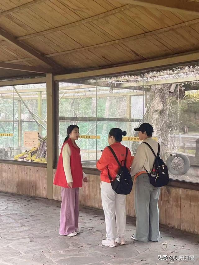 【文明旅游 从我做起】鸟岛用心传递“沈阳温度”