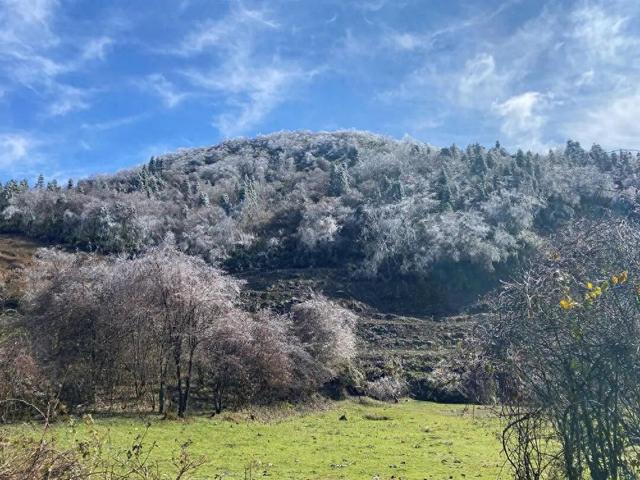 区县头条｜看！武陵山现冰挂美景