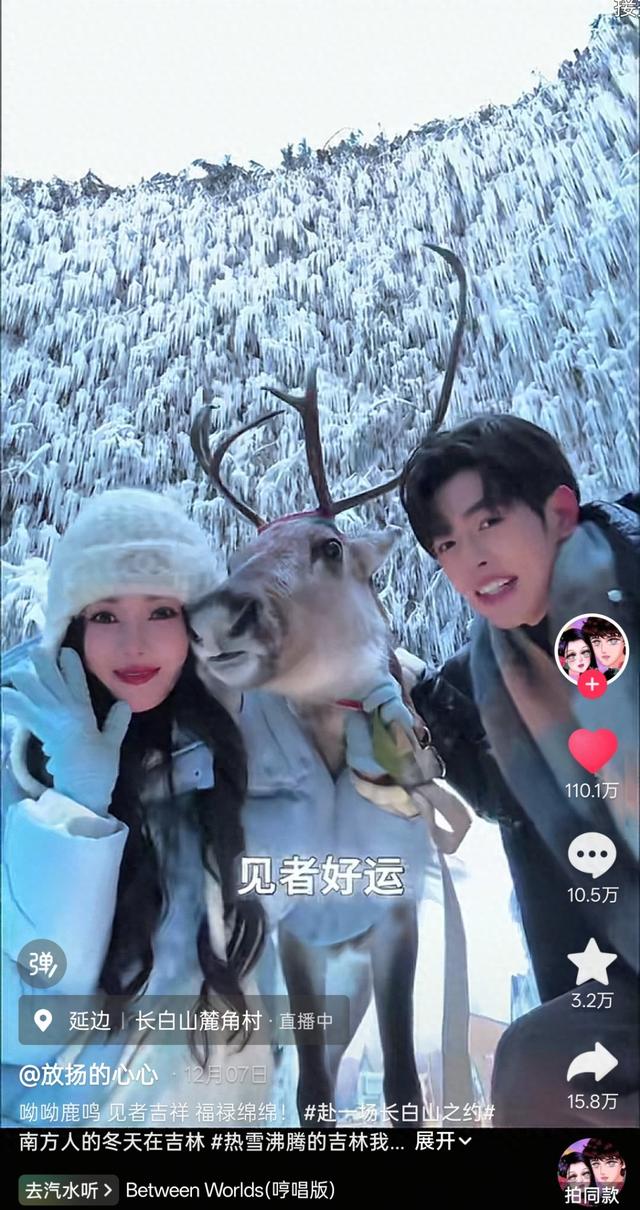 抖音爆款破110万点赞！长白山“呦呦鹿鸣”带火吉林雪季