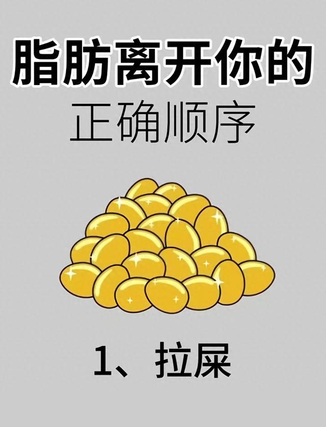脂肪离开身体的顺序，90%的人都错了