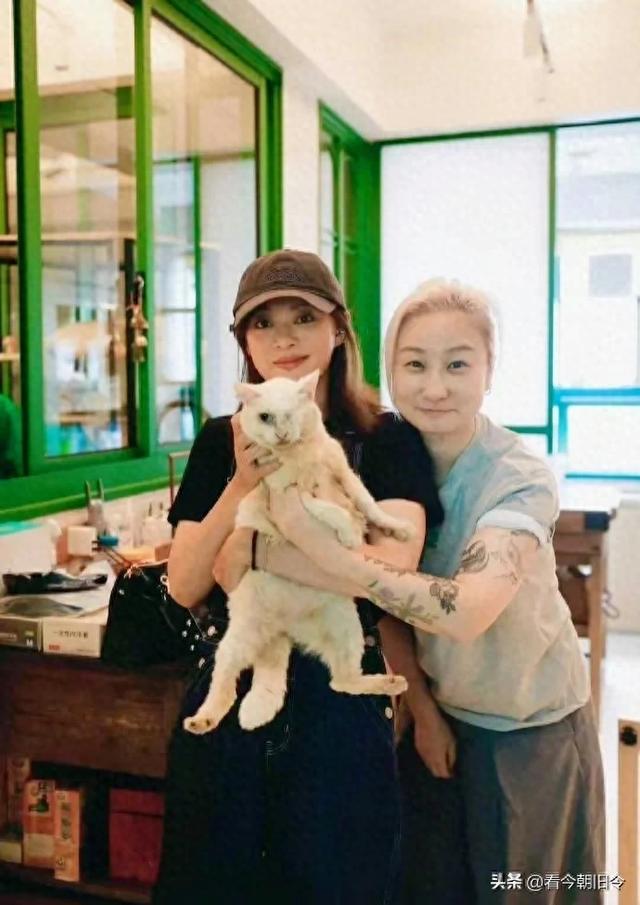 孙俪领养独眼猫，真的是人美心善的娘娘，猫咪遇到了爱它的神。