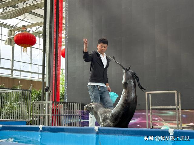 紧急提醒！靖远海洋动物嘉年华剩最后2天，这份游玩攻略请收好！
