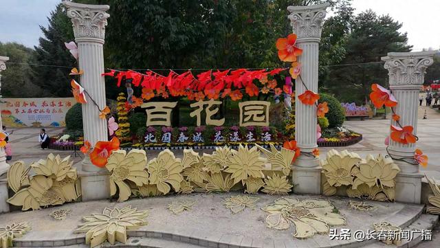 赏菊正当时！长春市百花园第三届金秋菊花展启幕