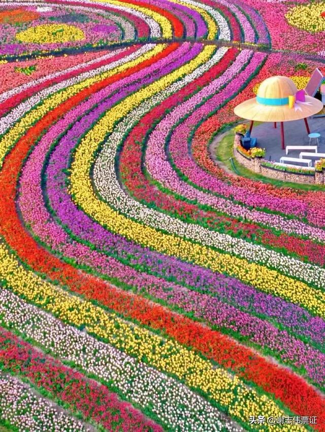 10月第5期(5天)点评