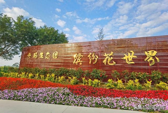 佛山市民国庆出游不用出家门，三水这个花主题景区将游客拉回春天