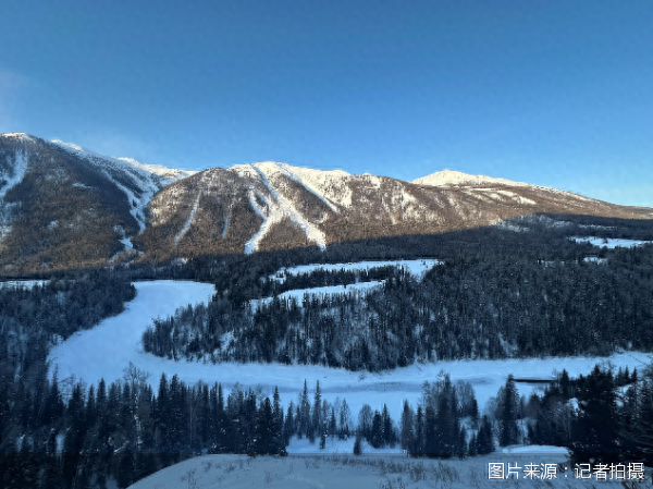 “雪假”催热国内亲子冰雪游：雪场酒店周末连续满房、青少年游客翻倍增长