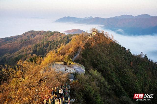 【每日一图@湖南】周末去哪儿？漫步靖州飞山云雾仙境，收藏苗侗冬日浪漫