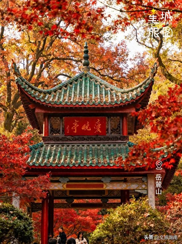 限时绝美！长沙初冬“顶流”上线