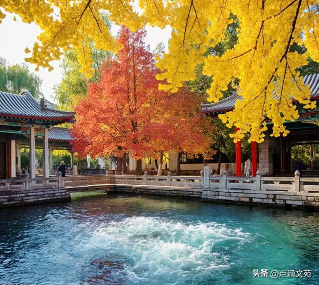 趵突泉游记/赵寅辰