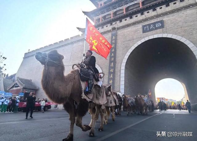 组图丨“东天山来的骆驼队”走进凉州城区