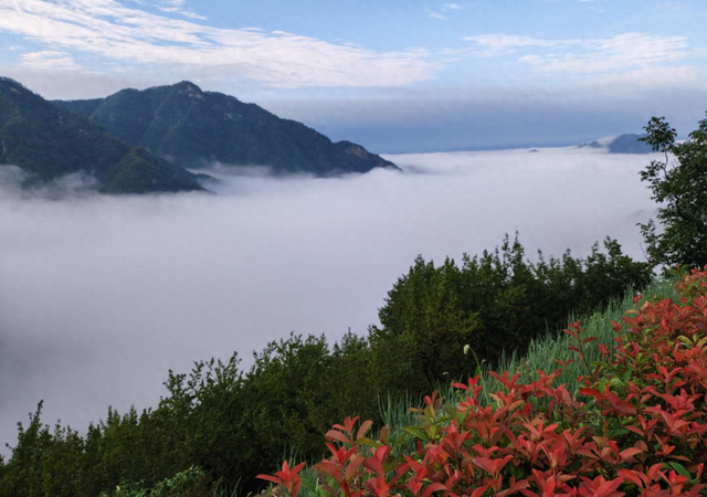 河南西峡：雨后山村景如画
