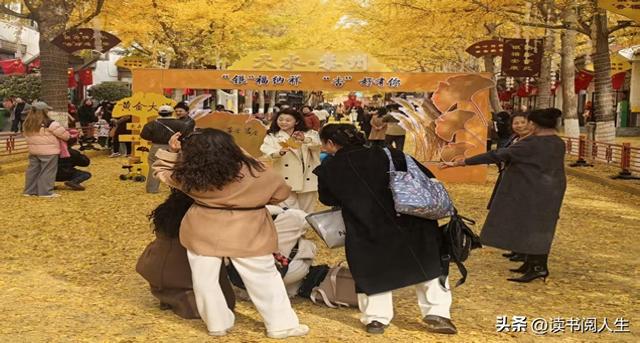 冯沙驼 ‖ 黄叶带火这座城