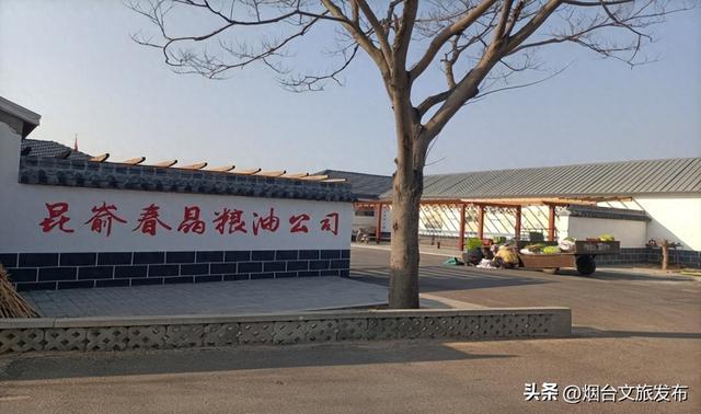 【乐游烟台】2天1夜刚刚好！烟台牟平这里，等你来一场秋日之约！