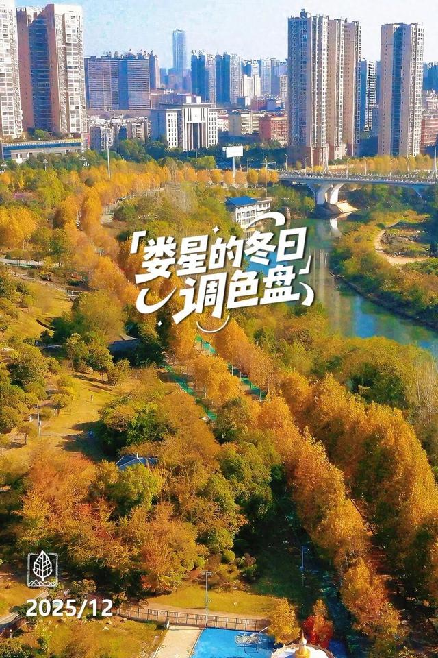 娄底：藏不住的诗意冬景，每帧都美到“心巴”上～