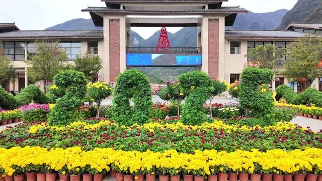 不是花中偏爱菊，此花开尽更无花！保康五道峡景区菊开成海