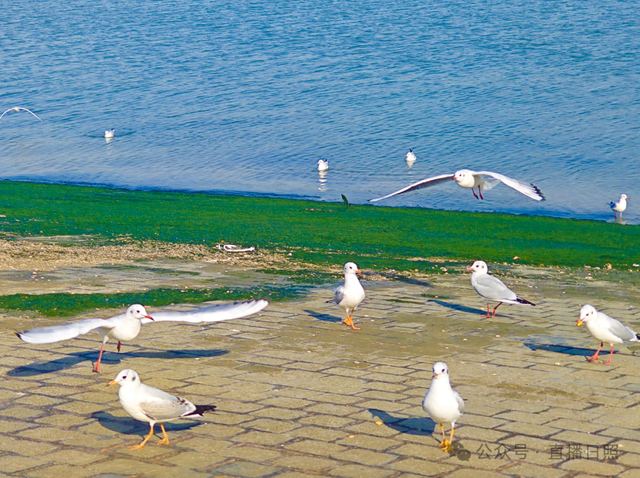 老朋友，又回来了！