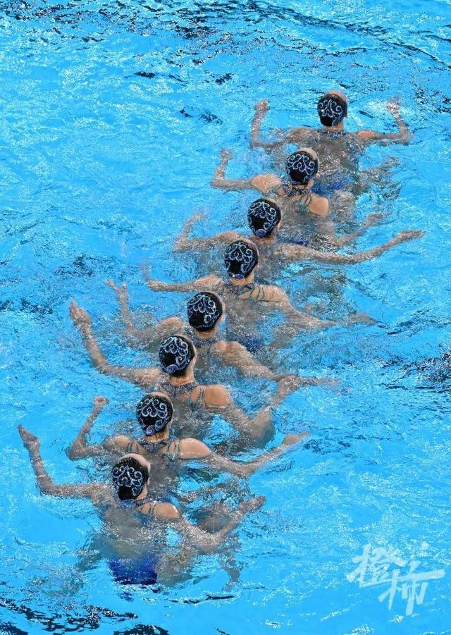 花胶 头发 2026年花胶对头发的作用