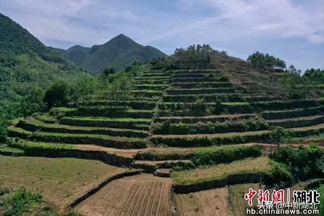 湖北崇阳：深挖古瑶文化根脉 开启文旅新篇