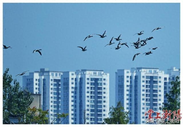 文明拂雁城，处处好风光