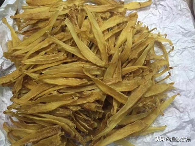 金龙鱼胶的功效及吃法 2026年金龙鱼胶的功效及吃法大全