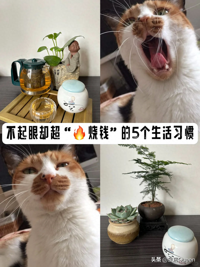 “不起眼，却烧钱”的5个消费习惯，正在榨干你的钱包！别不在意