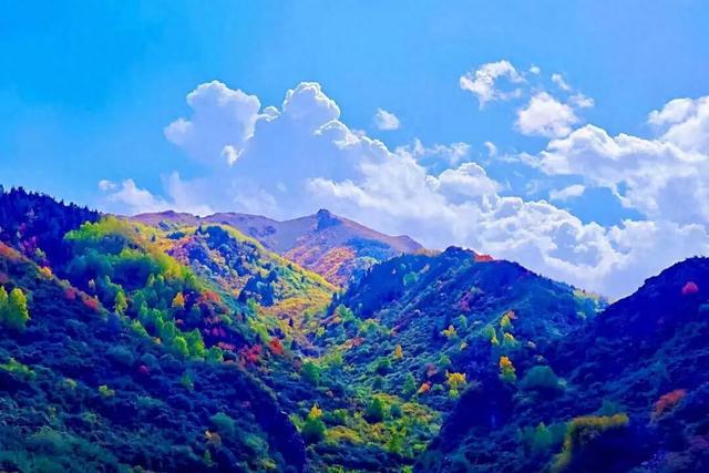 组图丨秋染古浪 韵入画屏