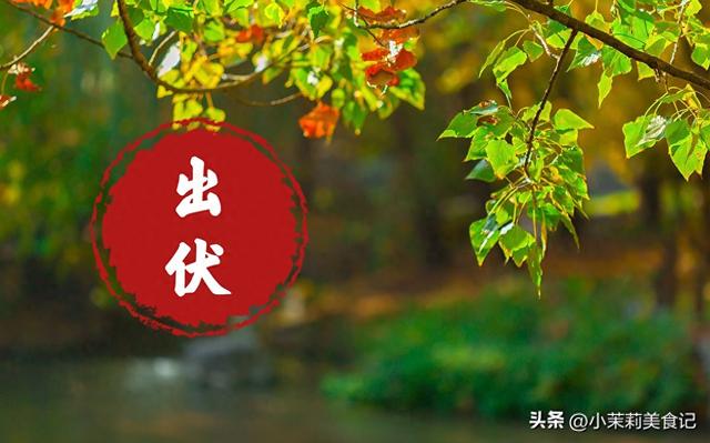 入伏吃饺子，明日出伏吃啥更讲究，提醒：5样不上桌，福气不进门