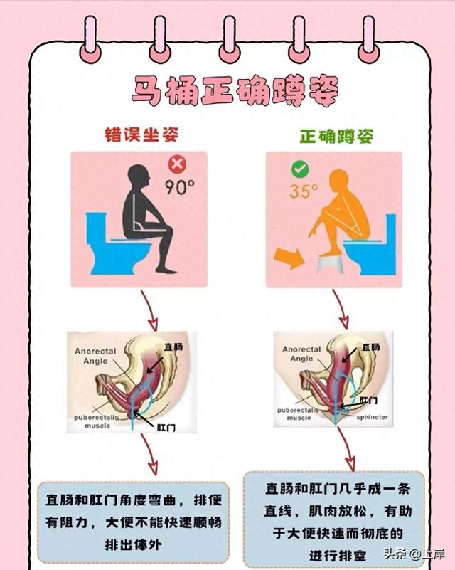 马桶怎么坐正确姿势（马桶上的健康密码解锁35度角的科学排便姿势）