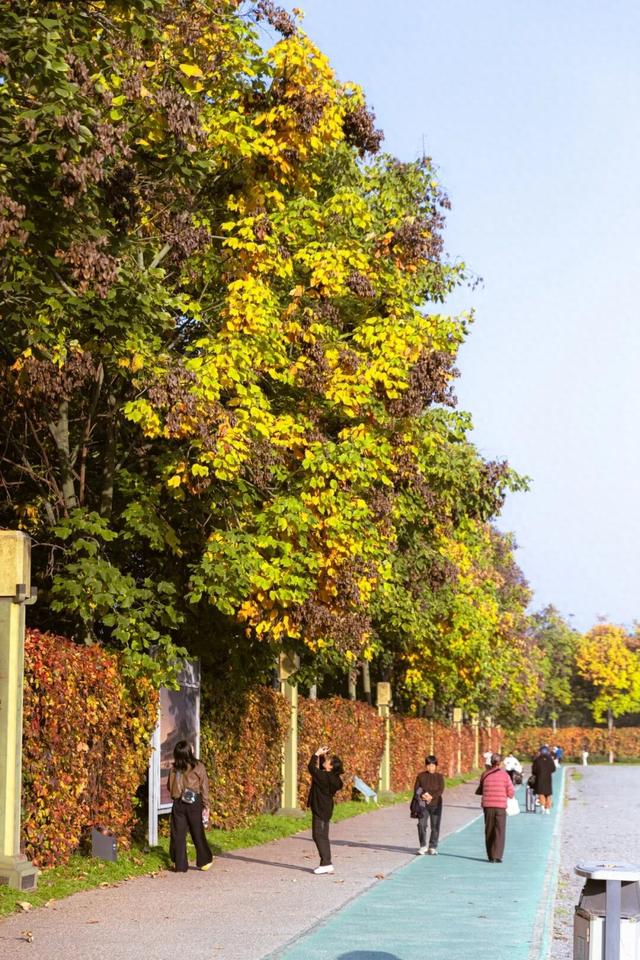 漫步未央 邂逅14个值得驻足的温情角落（上）