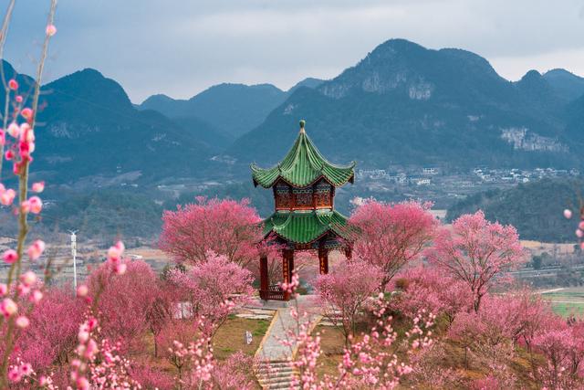 ​破局“淡季不淡”！贵州梅园全力打造冬季文旅新爆点