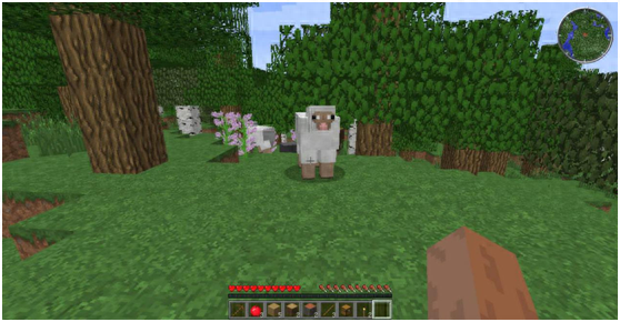 快带小羊回羊圈攻略（我的世界农场之旅怎么快速养羊攻略）